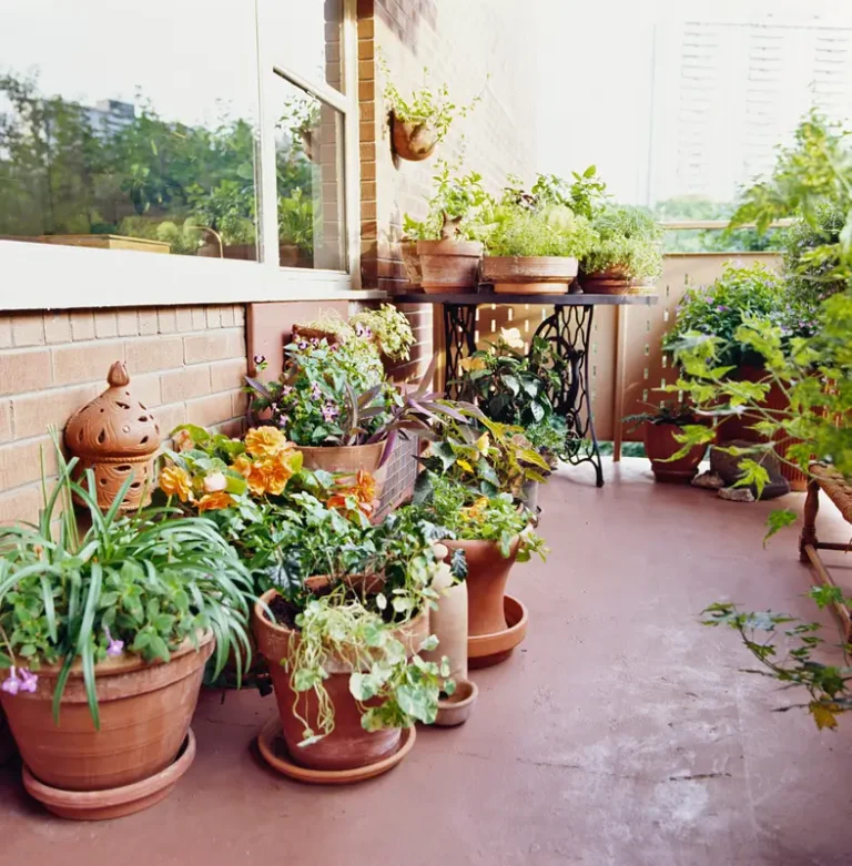 Container Gardening: Maximizing Small Spaces