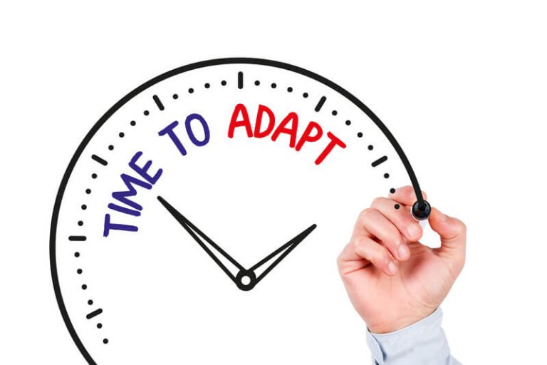 Embrace Flexibility and Adaptability