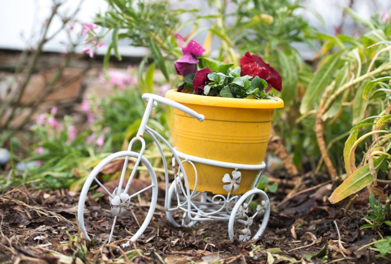 Urban Gardening on a Budget