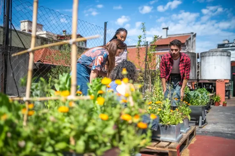 Planning Your Urban Garden