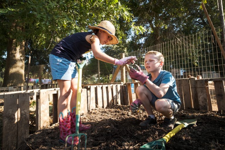 Soil and Composting in Urban Gardening