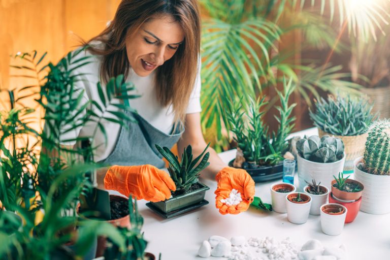 Urban Gardening Challenges and Solutions