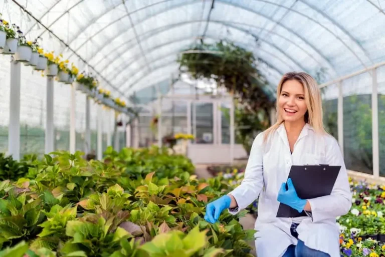Success Stories in Urban Gardening