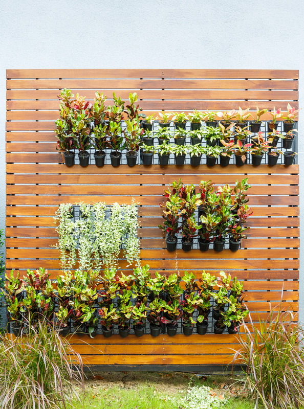 Vertical Gardening Techniques