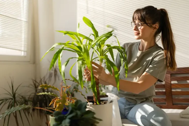 Benefits of Indoor Gardening