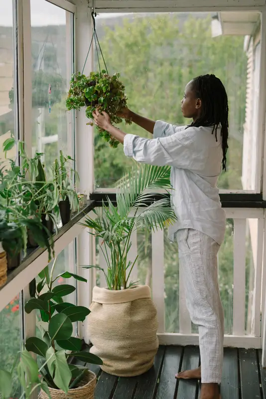 Caring for Your Indoor Plants