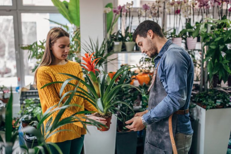 Choosing the Right Plants