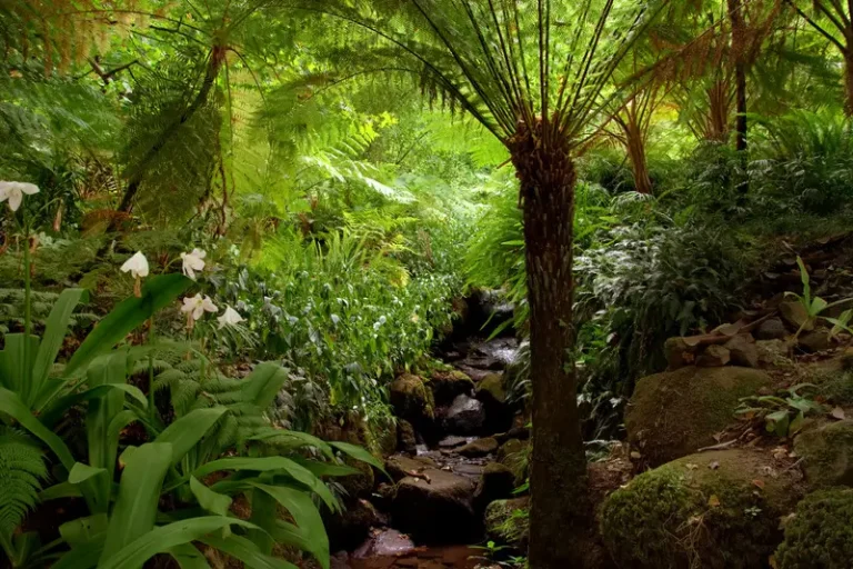 eden gardening