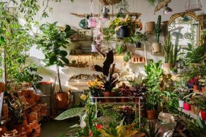 indoor gardening
