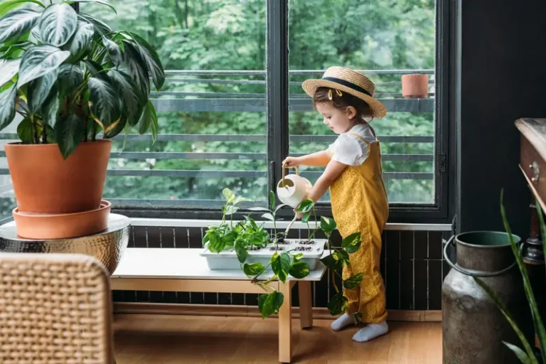Joy of Indoor Gardening