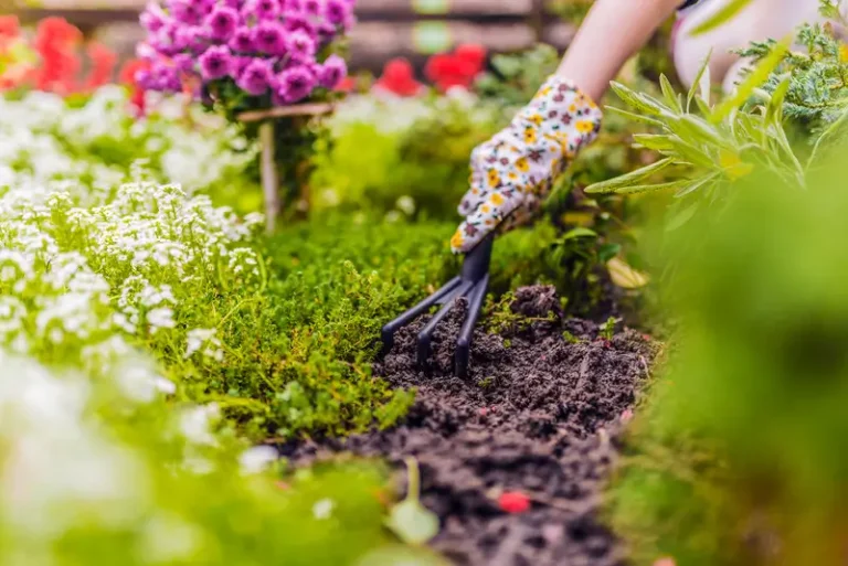 Nurturing Your Eden Garden