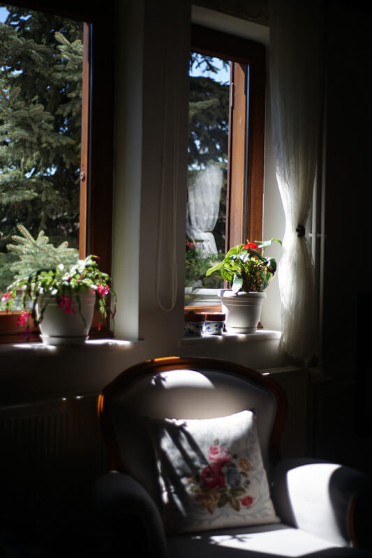 Indoor Gardening