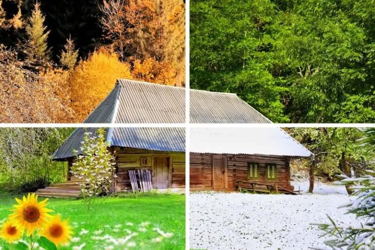 Seasonal Gardening Tips