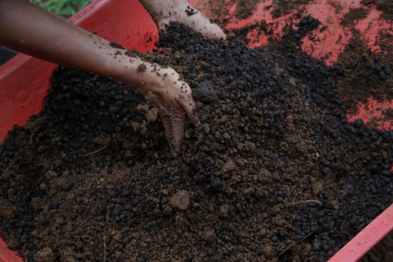 Soil Preparation