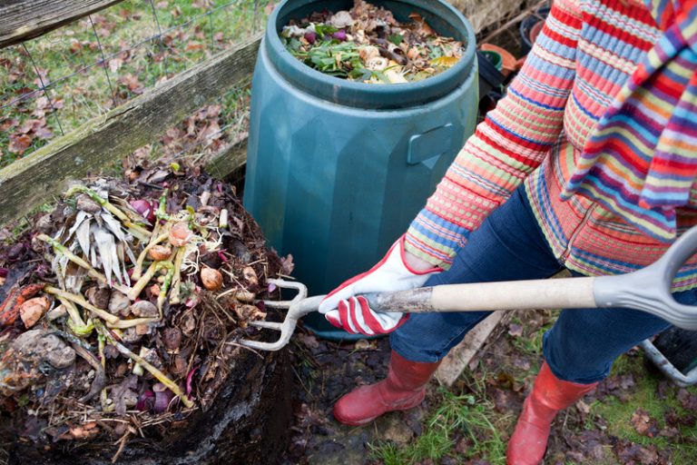 Sustainable Gardening Practices