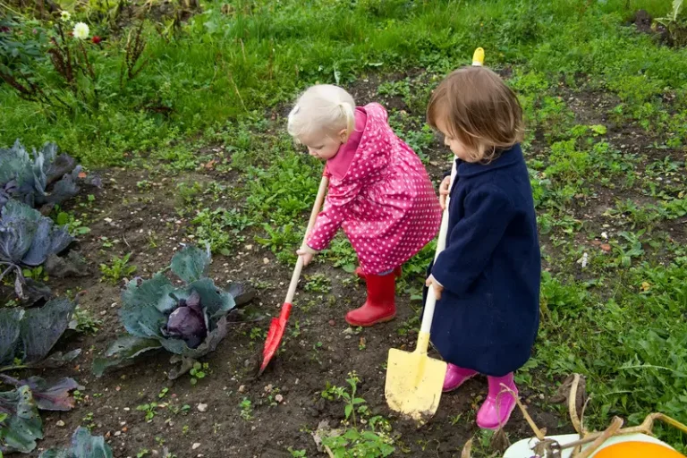 Sustainable Gardening Practices