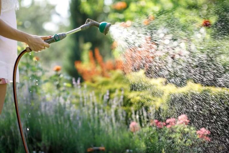 Watering Techniques