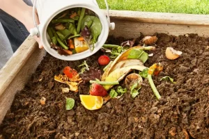 bokashi composting: recycling kitchen waste