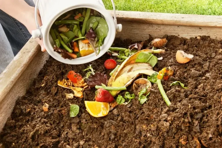 bokashi composting: recycling kitchen waste