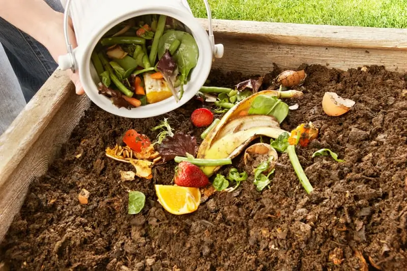 bokashi composting: recycling kitchen waste